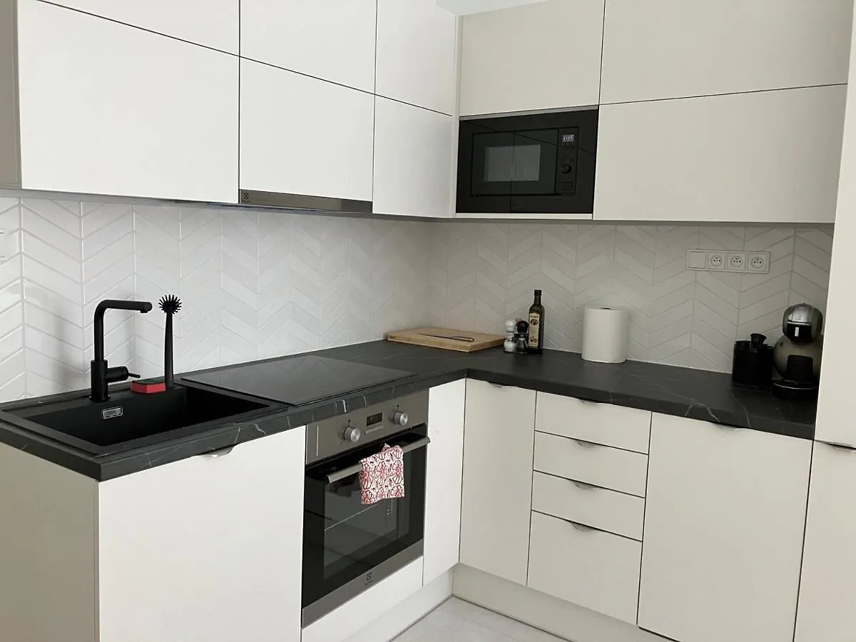 Old Town Maiselova Apartment 프라하 체코